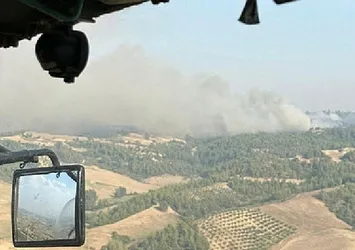 Adana'da orman yangını