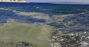 İzmir’in kirlilik raporu şoke etti