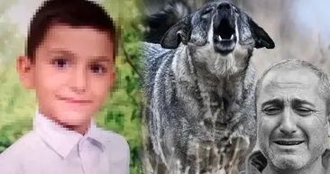 Tunahan Yılmaz’ın son durumu nasıl? Ankara’da sokak köpeklerinin saldırısına uğramıştı...