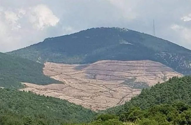 Bakan Pakdemirli açıkladı: Kaz Dağları’ndaki maden bakanlığa devredildi
