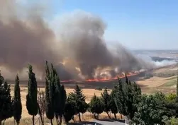 Büyükçekmece'de buğday tarlasında yangın!