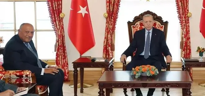 Başkan Erdoğan Mısır Dışişleri Bakanı Şükri’yi kabul etti