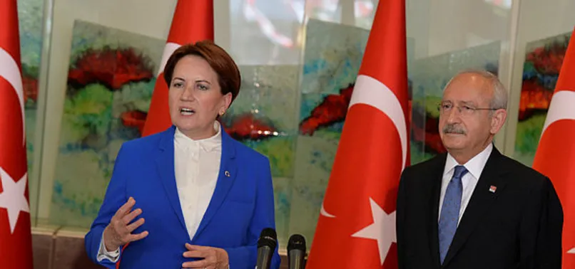 Teröristlere 'gerilla' diyen HDP'li Celal Doğan CHP ve İP’in ortak adayı