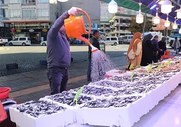 Rize'de hamsi bolluğu! Kilogramı 50 liradan satılıyor
