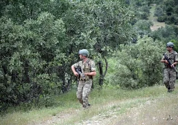Lice'den acı haber: 1 asker şehit