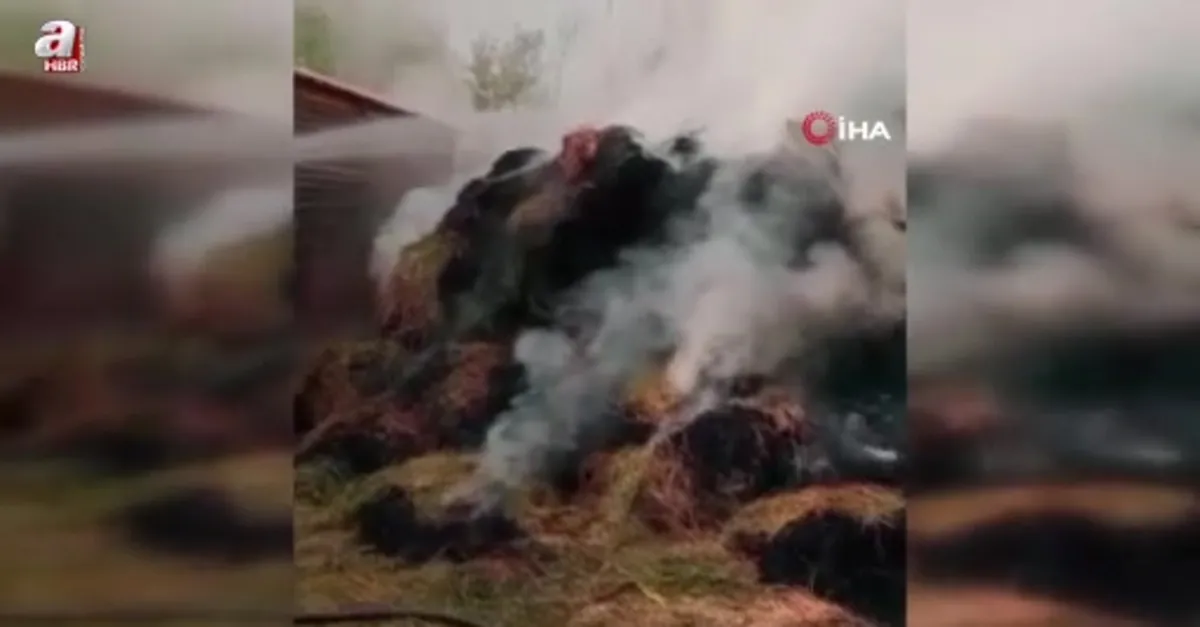 Yüksekova'da ot yangını