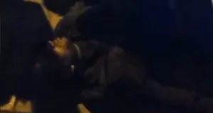 Köpek gezdirmeye çıkan kadın tacize uğradı!