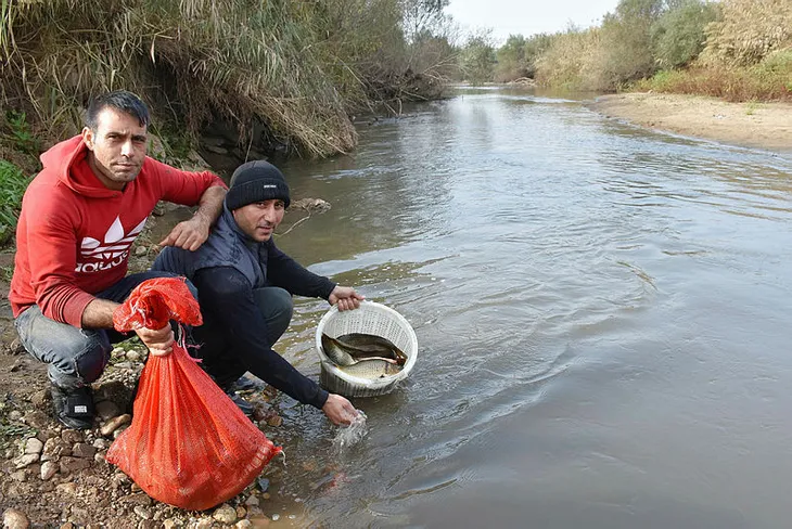 Gediz Nehri'nde kıyıya vuran balıkları toplayanlara yetkililerden "yemeyin" uyarısı - 3