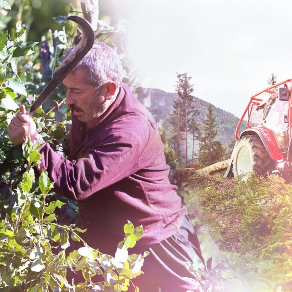 Tarımda tarihi adım! Gübrede vergi indirimi, çiftçinin maliyeti düşecek