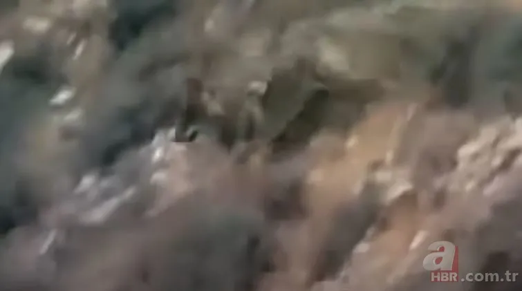 Dev kartalın nefes kesen kurt avı! Anne kurdun hatası pahalıya mal oldu 12