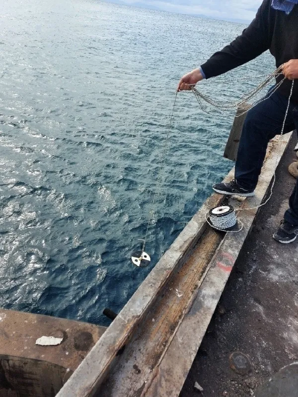 1666002272868.jpg Marmara Denizi'nin su kalitesi inceleniyor! 20 noktadan numune alındı - 2