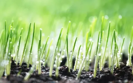 cemre-nedir-ne-zaman-duser-2023-ucuncu-cemre-topraga-dustu-mu-iste-tarihi-1678888842535.jpg Cemre nedir, ne zaman düşer 2023? Üçüncü cemre toprağa düştü mü? İşte tarihi... - 6