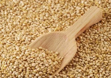 Uzman araştırmacılar belirledi: En sağlıklı 50 besin!