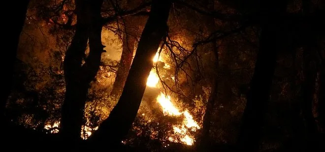 Çanakkale’de orman yangını! Çok sayıda ekip bölgede! Alevlerle zorlu mücadele...