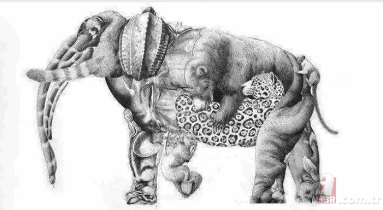 Zeka testi: Resimde kaç hayvan var? 30 saniyede bulamayanlar eleniyor 1