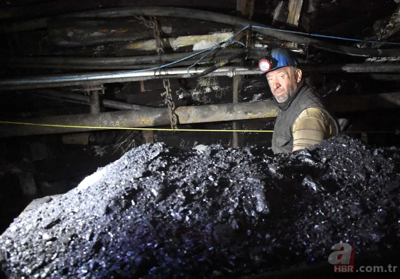 Türkiye'de yetiştirilip Avrupa'ya gönderiliyor! Kilosu 250 avroya satılıyor... 11