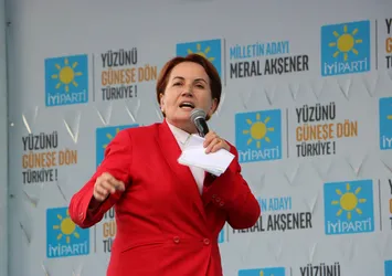 İYİ Parti'den 250 kişi istifa etti