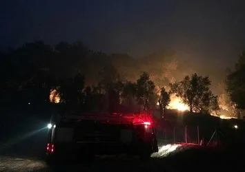 Muğla'da orman yangını! 34 hane boşaltıldı