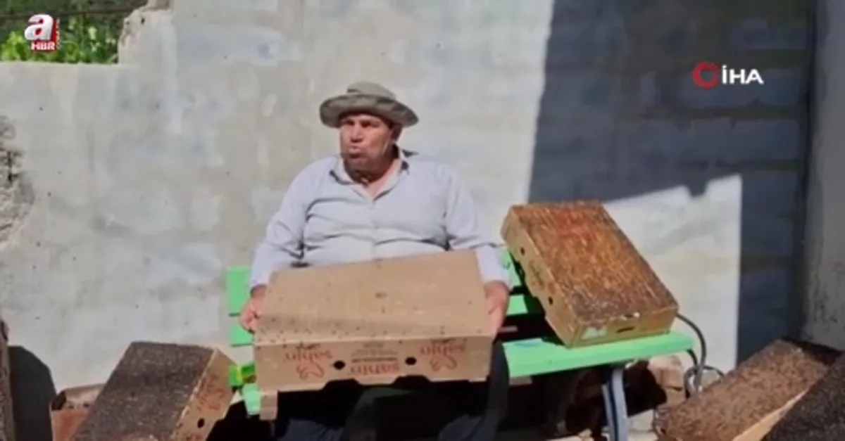 Adana usulü "sinekle mücadele"
