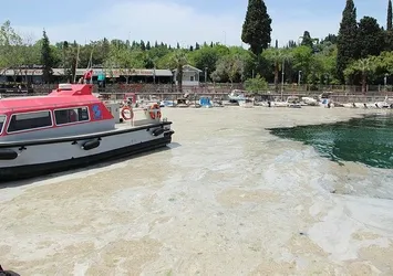 Marmara Denizi’nde deniz salyası kabusu! Kurtarmak için plan