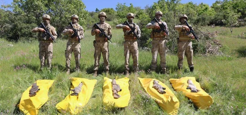 Şırnak'ta terör örgütü PKK'ya darbe! 5 terörist etkisiz hale getirildi