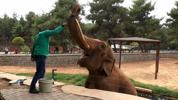 Hayalleri suya düştü! Gabi ve Pili'ye koronavirüs engeli - 3