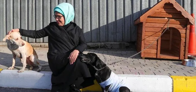 Son dakika: Emine Erdoğan engelli köpek ’Leblebi’yi sahiplendi