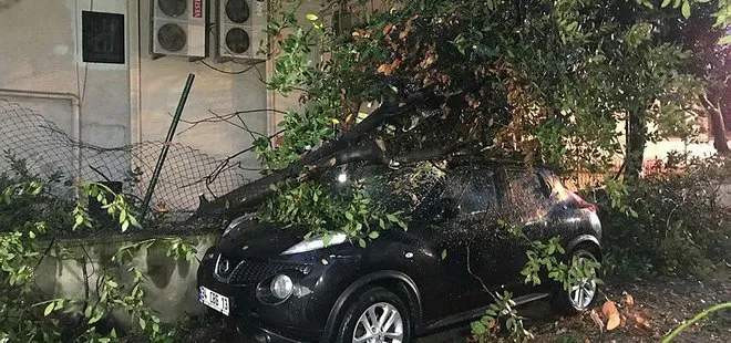 Son dakika: Kadıköy’de şiddetli rüzgar nedeniyle ağaç aracın üzerine devrildi