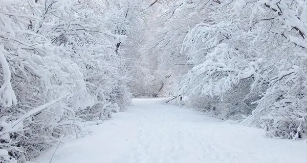 meteorolojiden-7-ile-flas-uyari-hava-sicakliklari-8-15-derece-birden-azalacak-5-gunluk-hava-durumu-1613423827189.jpg Meteoroloji'den 7 ile flaş uyarı! Hava sıcaklıkları 8-15 derece birden azalacak! 5 günlük hava durumu - 4