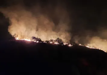 Hatay'daki yangın kontrol altına alındı