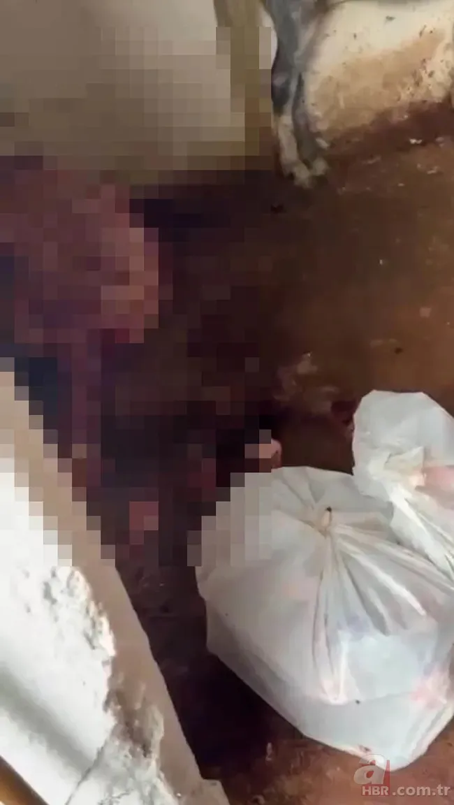 İstanbul’da pes dedirten gıda skandalı: Atları kesip satışa sundular 4