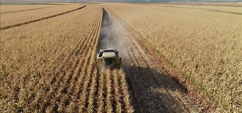 Tarım ÜFE eylülde aylık bazda yüzde 1,46, yıllık yüzde 23,35 arttı