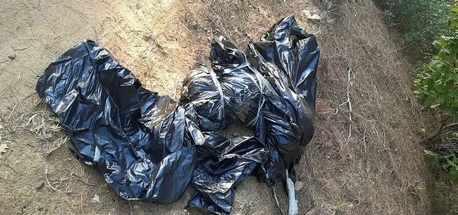 Edirne’de ormana atılmış çöp poşetinde ölmüş köpek bulundu