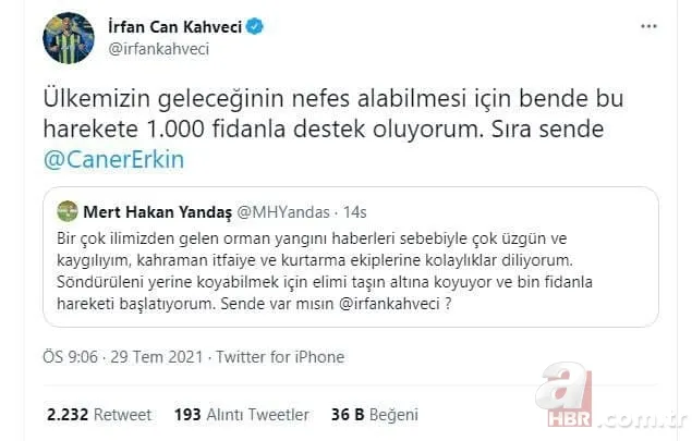 Türkiye yangına karşı tek yürek: Ünlü isimler de destek veriyor! Ormanlara ağaç dikilmesi için büyük kampanya başladı 14