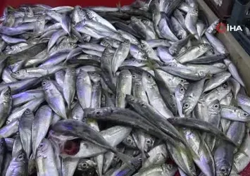 Kütahya’da Balık Pazarı'nda hareketlilik