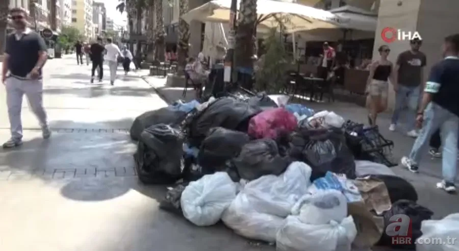 İzmir'de halkı isyan ettiren görüntüler! Karada çöp dağları, havada pis koku ve denizde balık ölümleri... 7