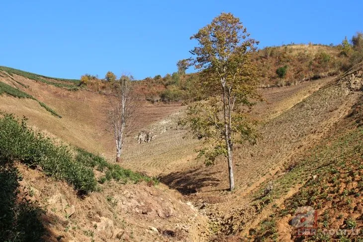 Tarladaki ürünleri tek tek söküyorlar! Uzman isim uyardı: Sıkıntı yaşarız