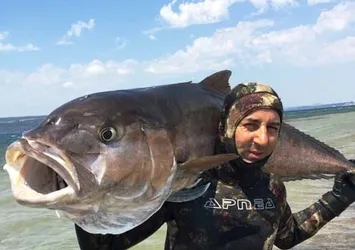 Zıpkınla 68 kilo balık avladı