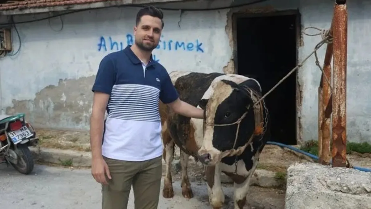 Kurban dolandırıcılarına dikkat! 200 bin TL’si buhar oldu