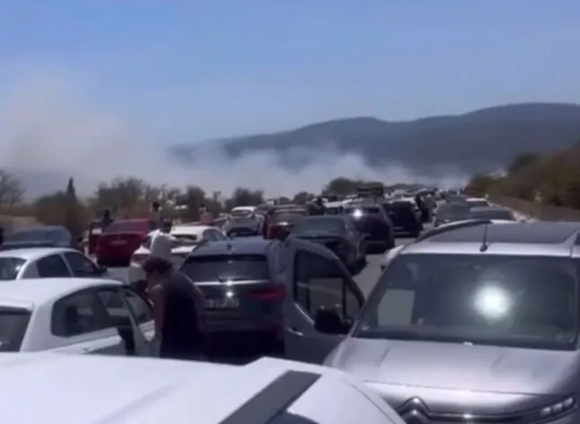 izmirde-ormanlik-alanda-yangin-havadan-ve-karadan-mudahale-basladi-1719675507302.jpg İzmir'deki 3 yangın kontrol altına alındı! Bakan Yumaklı yangınların çıkış nedenini açıkladı - 10