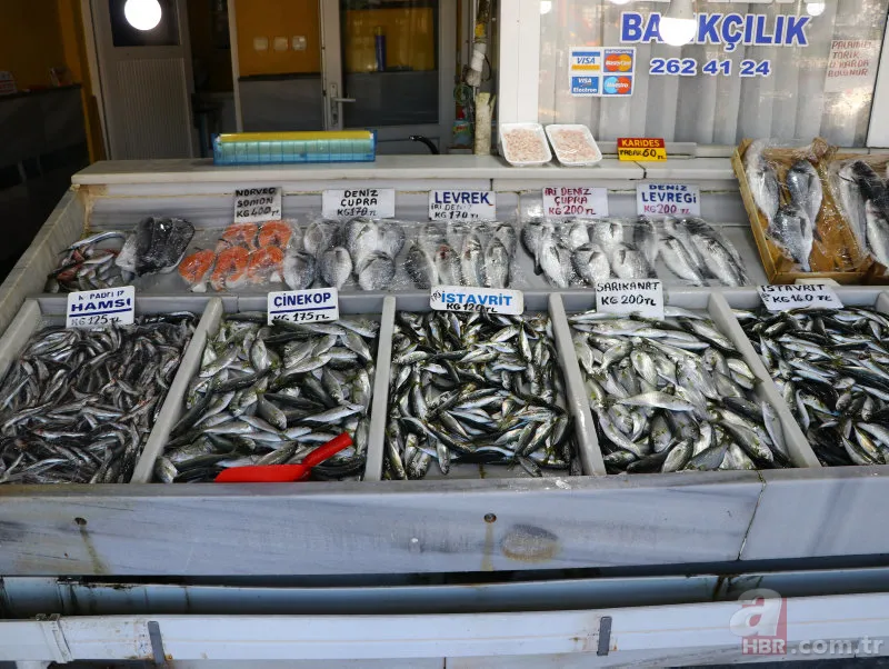 Uzmanlardan hamsi uyarısı! "1 yıl avlanmasın..." 12