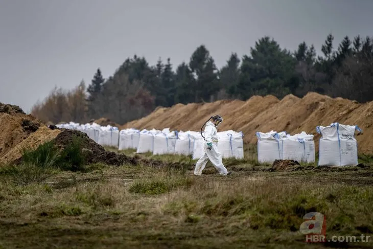 Yeni tehlike Cluster-5 virüsü! 17 milyon vizon toplu mezarlara gömüldü