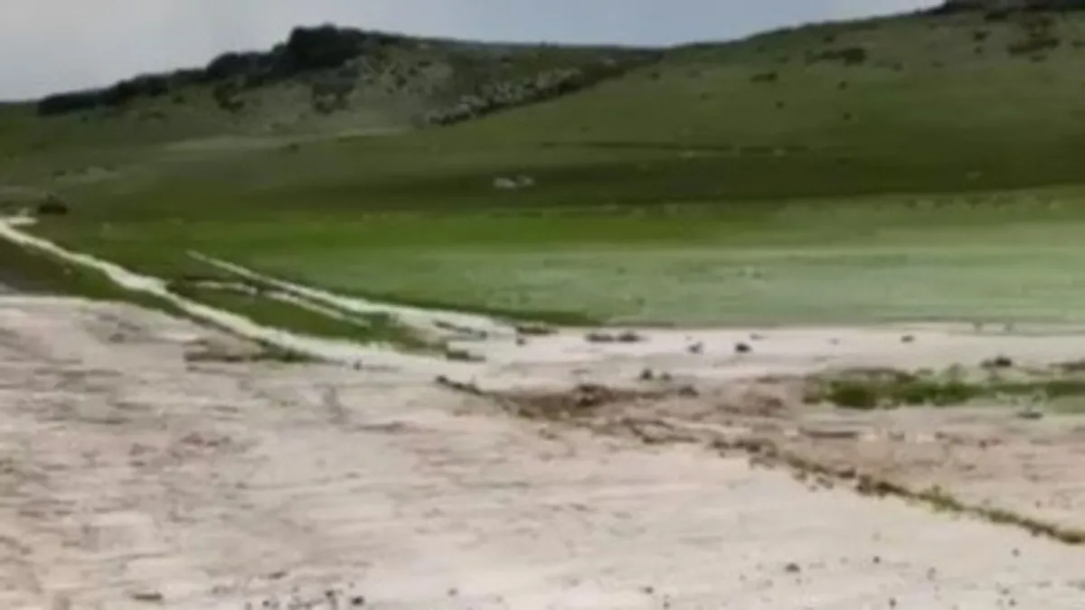 Kars'taki yağışlar sele neden oldu: Dereler taştı ahırlar sular altında