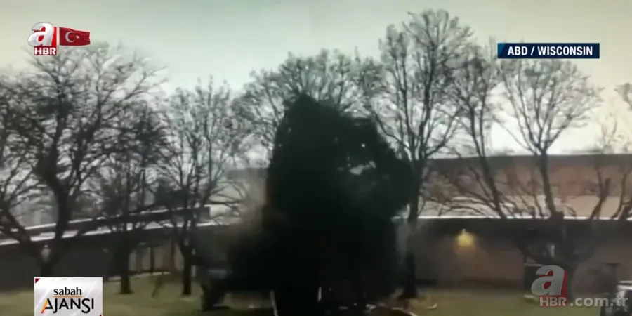 Lise bahçesindeki ağaca yıldırım düştü! 6 metrelik ağaç ortadan ikiye ayrıldı 5