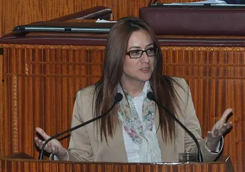 Türk düşmanı vekile haddini bildirdiler