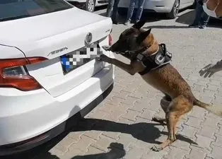 Zehir tacirlerine dev operasyon! 74 kilo eroin ele geçirildi