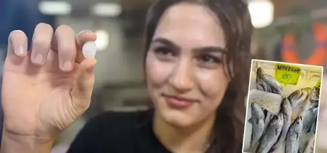 Balık 650, başındaki taş 10 bin lira