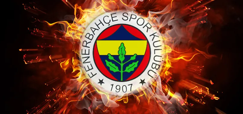 Fenerbahçe Asbaşkanı Ali Yıldırım'dan kadro dışı açıklaması