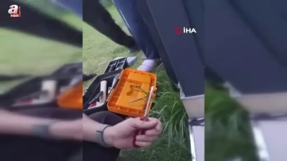 Pervaza sıkışan muhabbet kuşu kurtarıldı