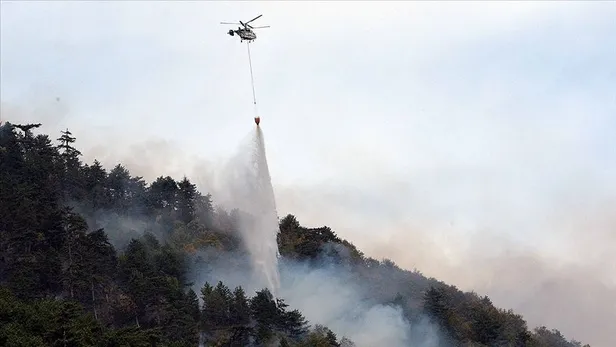 OGM başvuru sonuçları son durum: İŞKUR 2022 Orman Genel Müdürlüğü personel alımı kura çekimi ne zaman yapılacak?